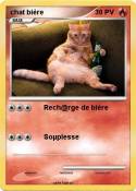 chat bière
