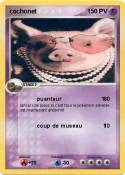 cochonet 