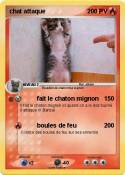 chat attaque chat attaque