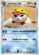 canard-ou-chat