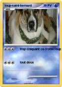 loup-saint-bernard loup-saint-bernard