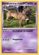 mastiff est trop choµ !!!! mastiff est