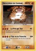 Dora (chien de Combat) Dora (chien de