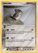 chinchilla