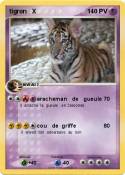 tigron X