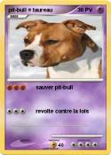 pit-bull =