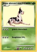 dogue allemand