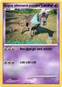 dogue allemand