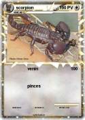 scorpion