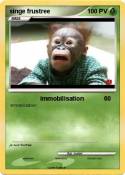 singe frustree