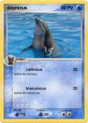 dolphinus