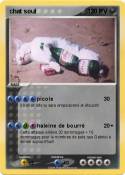 chat soul