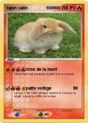 lapin calin