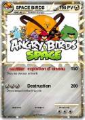 SPACE BIRDS
