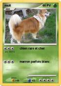 mutt