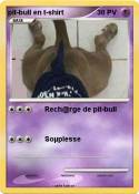 pit-bull en t-shirt pit-bull en