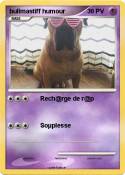 bullmastiff
