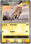 Cheetah