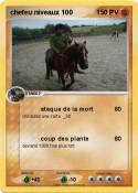 chefeu niveaux