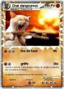Chat dangeureus