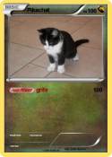 Pikachat