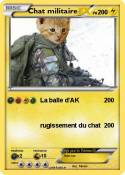 Chat militaire