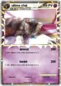 ultime chat