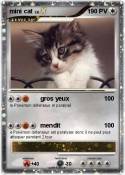 mini cat