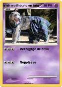 irish wolfhound en tutu irish wolfhound