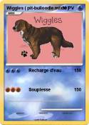 Wiggles ( pit-bulloodle mixte ) Wiggles (