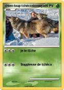 chien-loup