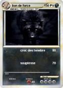 lion de force