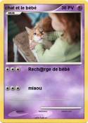 chat et le