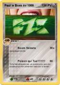 Paul le Boss nv