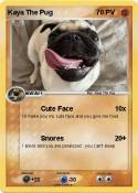 Kaya The Pug
