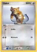 Chaton