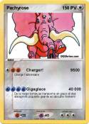 Pachyrose