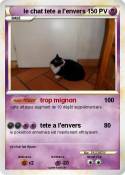 le chat tete a
