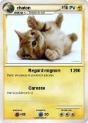 chaton