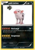 petit cochon