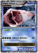 requin blanco