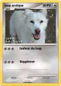 loup arctique