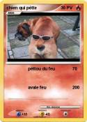chien qui