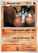 Plus petit chat