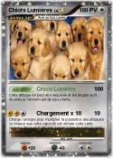 Chiots