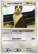 chat terrifiant
