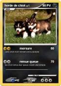 horde de chiot