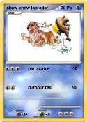 chow-chow labrador chow-chow