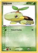 tortipouss