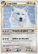 Loup blanc